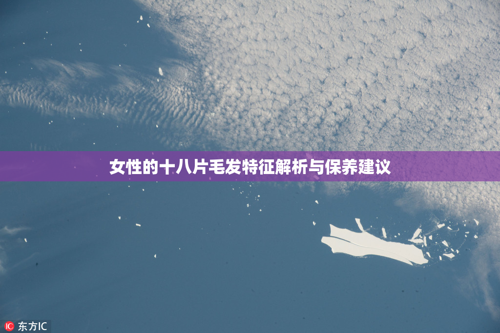 女性的十八片毛发特征解析与保养建议