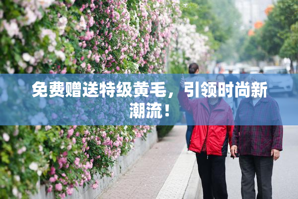 免费赠送特级黄毛，引领时尚新潮流！