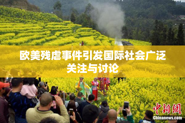 欧美残虐事件引发国际社会广泛关注与讨论