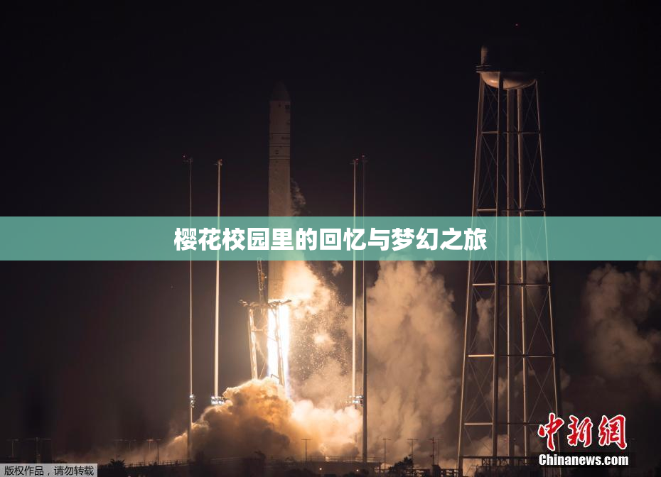 樱花校园里的回忆与梦幻之旅