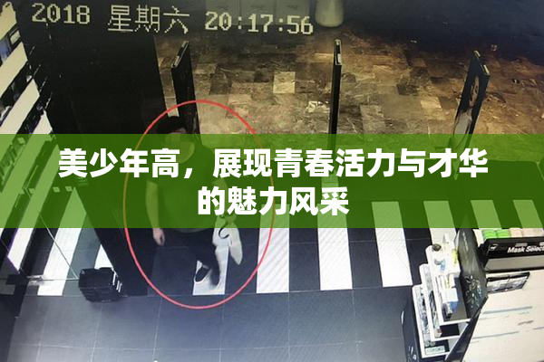 美少年高，展现青春活力与才华的魅力风采