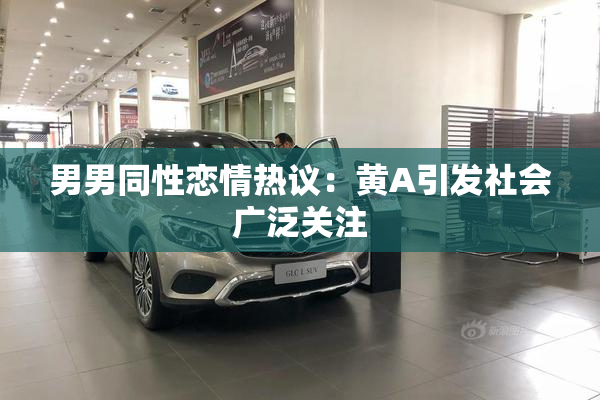 男男同性恋情热议：黄A引发社会广泛关注