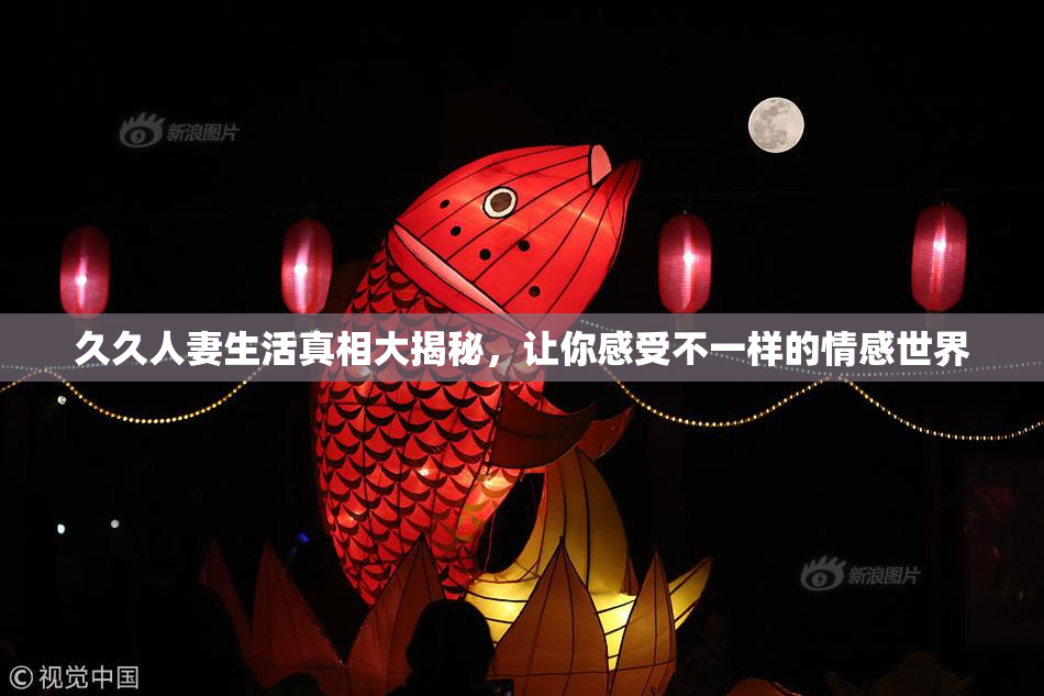 久久人妻生活真相大揭秘，让你感受不一样的情感世界