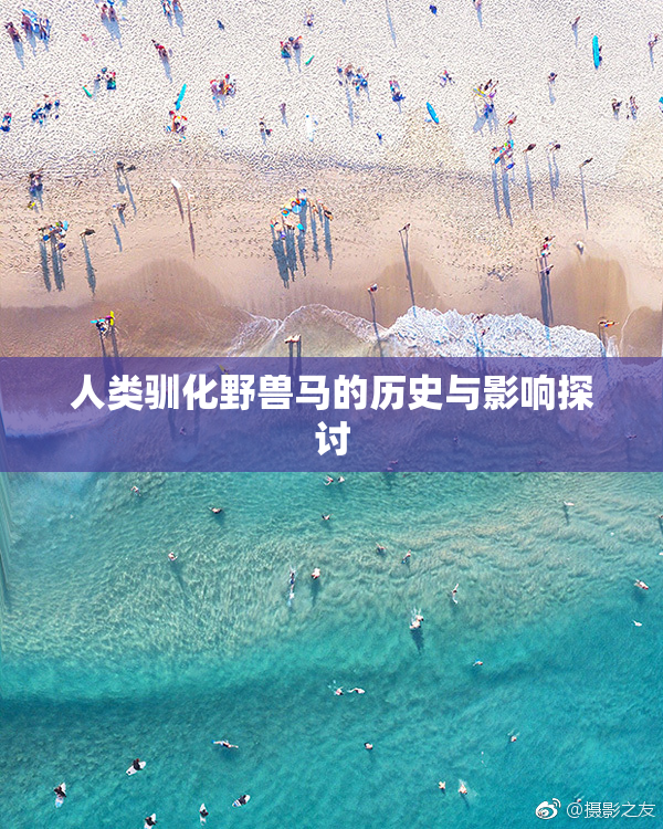 人类驯化野兽马的历史与影响探讨