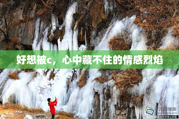好想被c，心中藏不住的情感烈焰