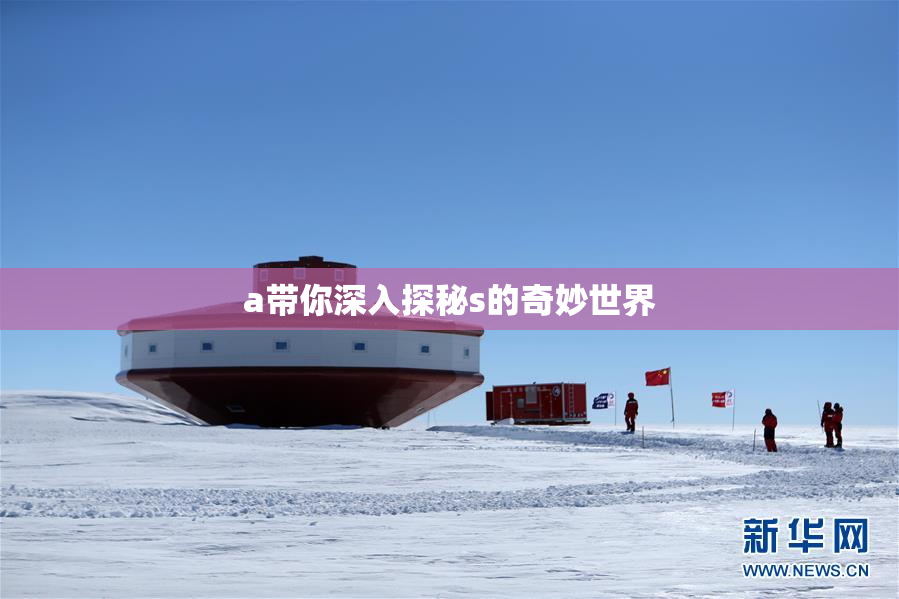 a带你深入探秘s的奇妙世界