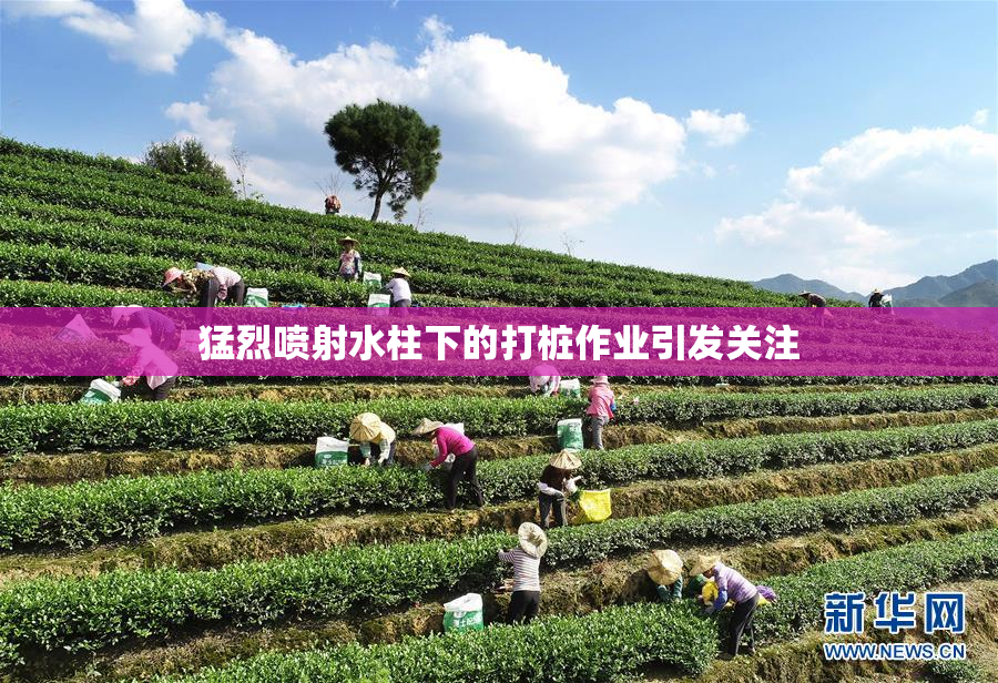 猛烈喷射水柱下的打桩作业引发关注