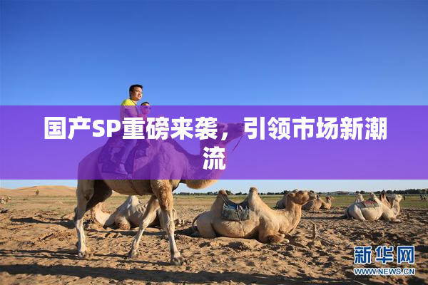 国产SP重磅来袭，引领市场新潮流