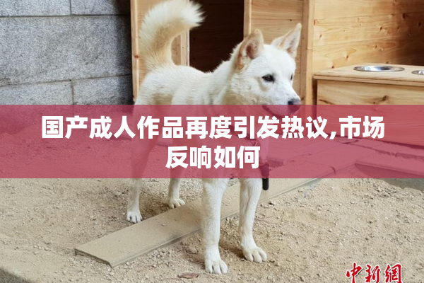 国产成人作品再度引发热议,市场反响如何