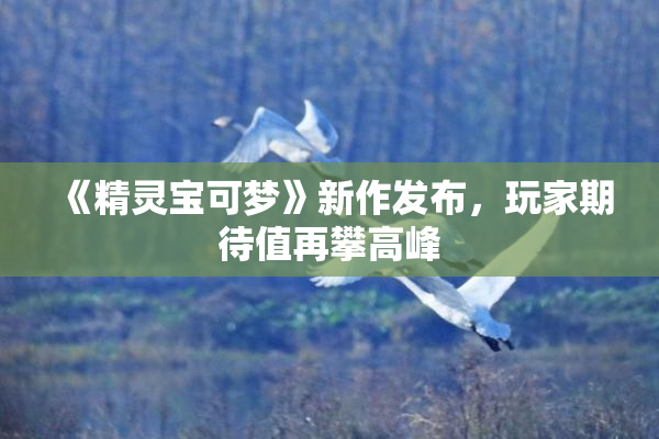 《精灵宝可梦》新作发布，玩家期待值再攀高峰