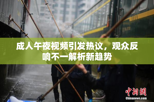 成人午夜视频引发热议，观众反响不一解析新趋势