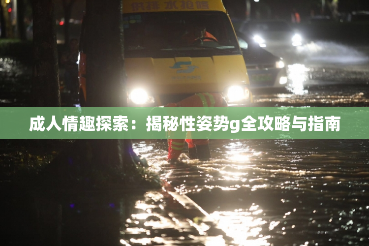 成人情趣探索：揭秘性姿势g全攻略与指南