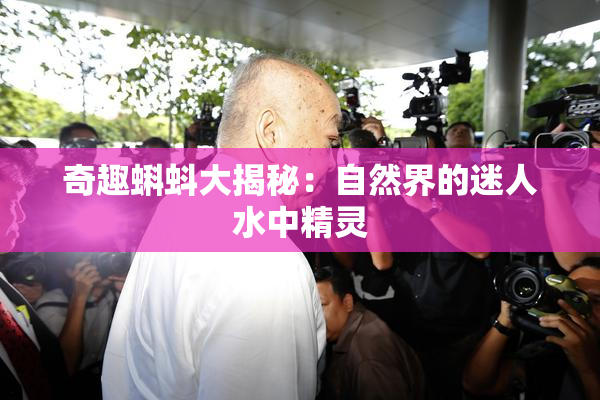 奇趣蝌蚪大揭秘：自然界的迷人水中精灵