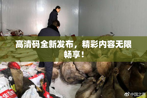 高清码全新发布，精彩内容无限畅享！