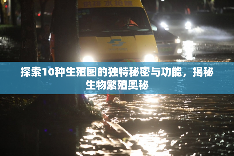 探索10种生殖图的独特秘密与功能，揭秘生物繁殖奥秘