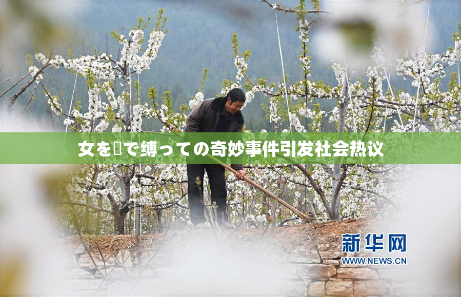 女を縄で缚っての奇妙事件引发社会热议