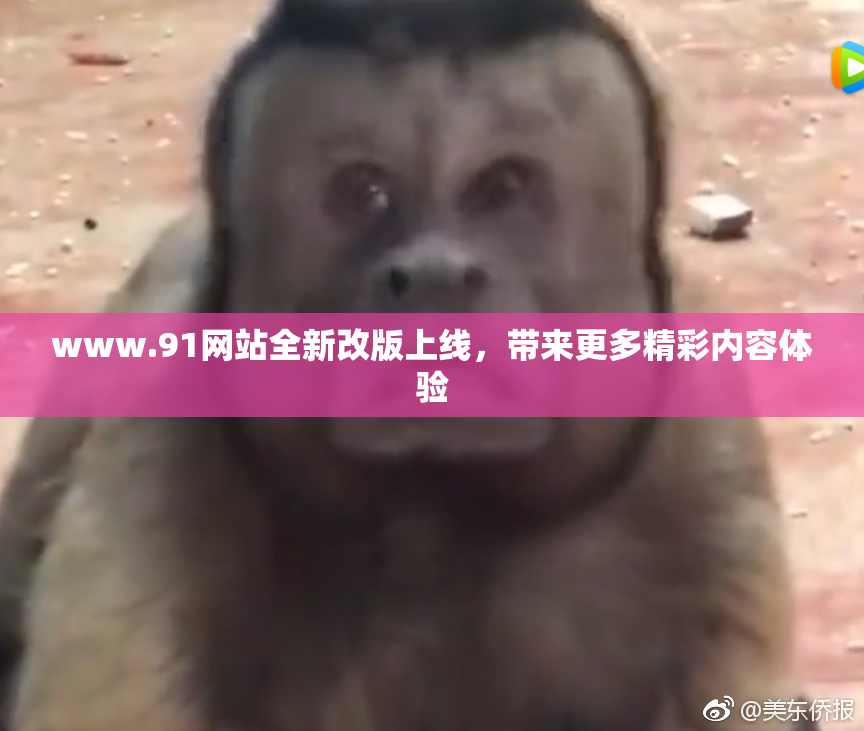 www.91网站全新改版上线，带来更多精彩内容体验