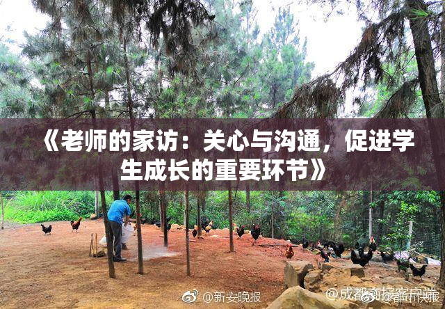 《老师的家访：关心与沟通，促进学生成长的重要环节》