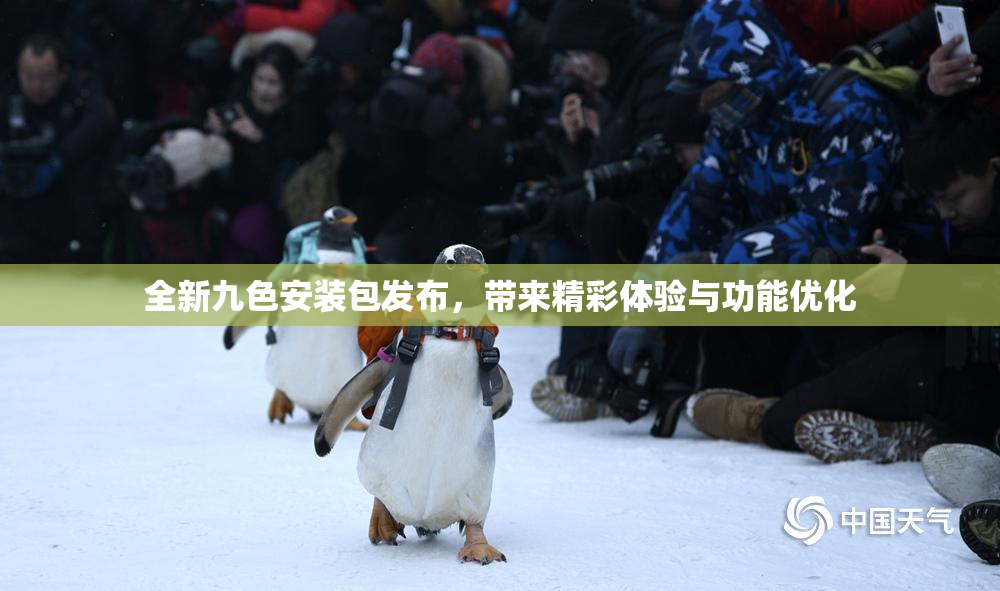 全新九色安装包发布，带来精彩体验与功能优化