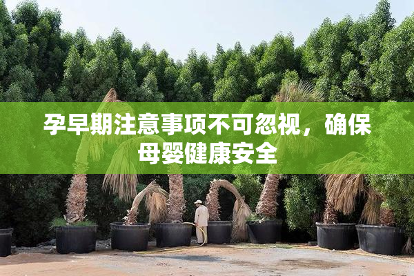 孕早期注意事项不可忽视，确保母婴健康安全