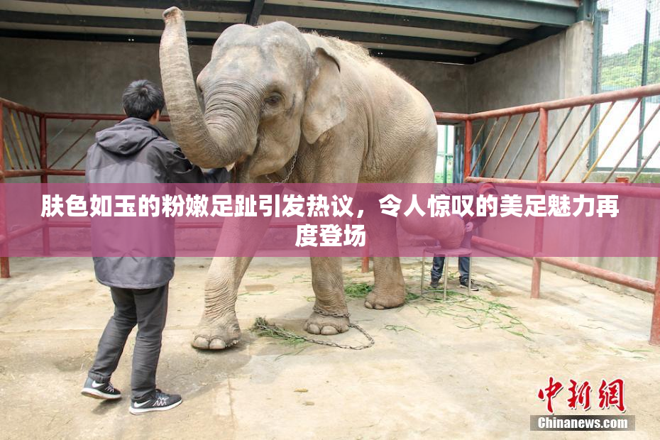 肤色如玉的粉嫩足趾引发热议，令人惊叹的美足魅力再度登场