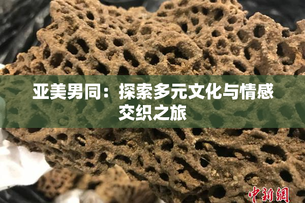 亚美男同：探索多元文化与情感交织之旅