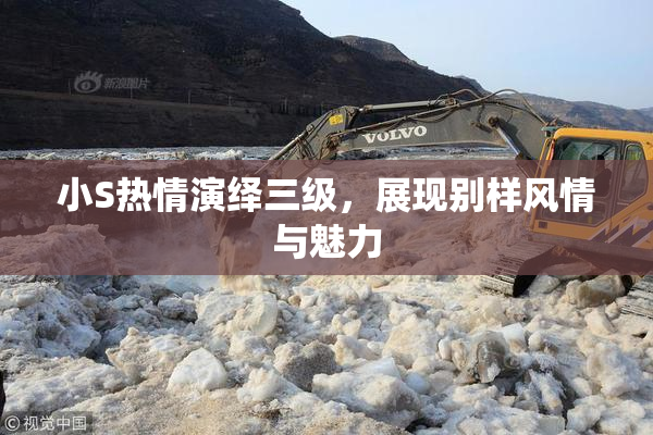 小S热情演绎三级，展现别样风情与魅力