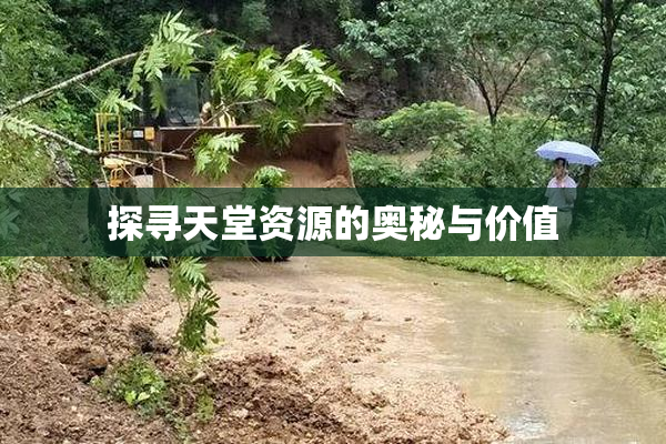 探寻天堂资源的奥秘与价值
