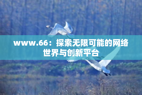www.66：探索无限可能的网络世界与创新平台