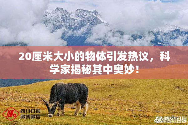 20厘米大小的物体引发热议，科学家揭秘其中奥妙！