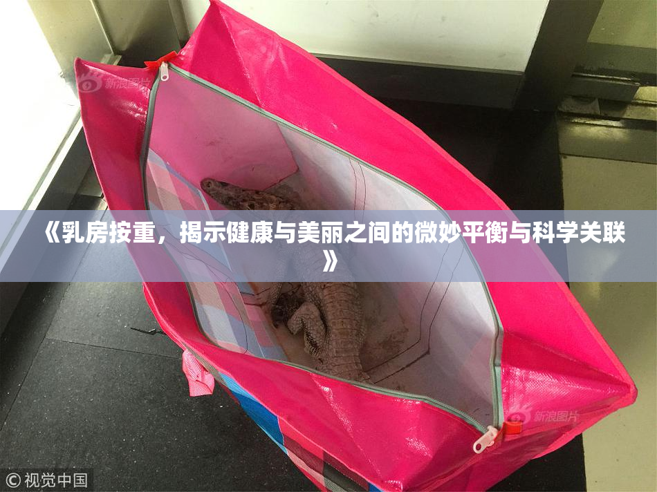 《乳房按重，揭示健康与美丽之间的微妙平衡与科学关联》