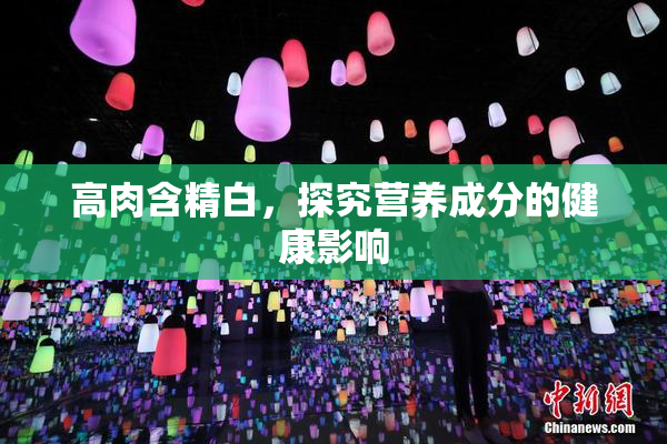 高肉含精白，探究营养成分的健康影响