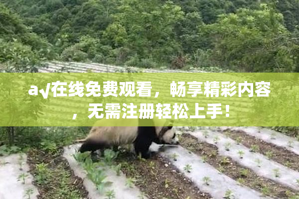 a√在线免费观看，畅享精彩内容，无需注册轻松上手！