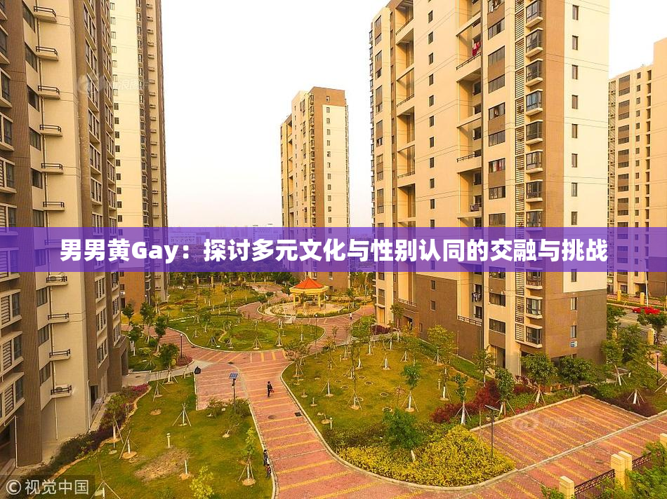 男男黄Gay：探讨多元文化与性别认同的交融与挑战