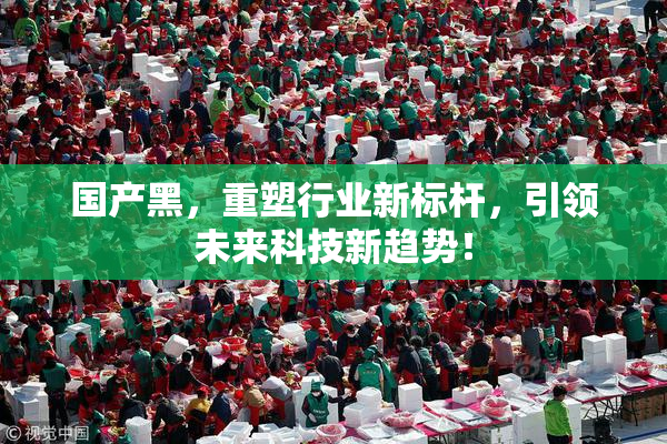 国产黑，重塑行业新标杆，引领未来科技新趋势！