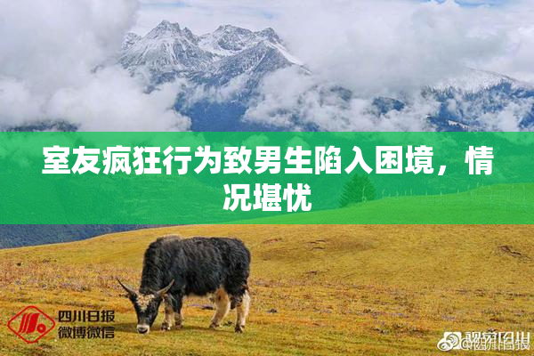 室友疯狂行为致男生陷入困境，情况堪忧