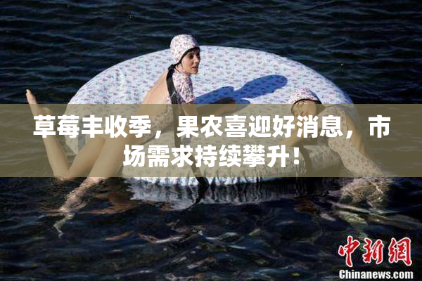 草莓丰收季，果农喜迎好消息，市场需求持续攀升！