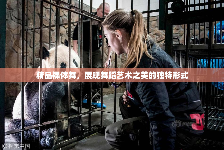 精品裸体舞，展现舞蹈艺术之美的独特形式