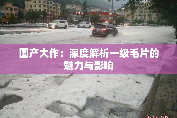 国产大作：深度解析一级毛片的魅力与影响
