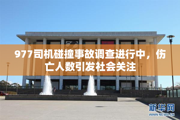 977司机碰撞事故调查进行中，伤亡人数引发社会关注