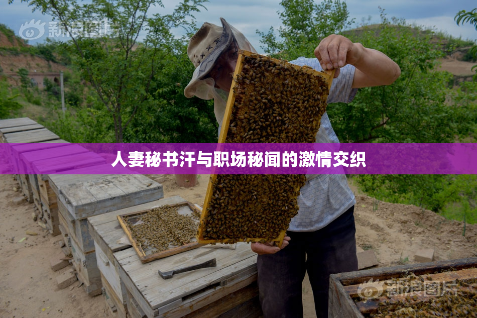 人妻秘书汗与职场秘闻的激情交织