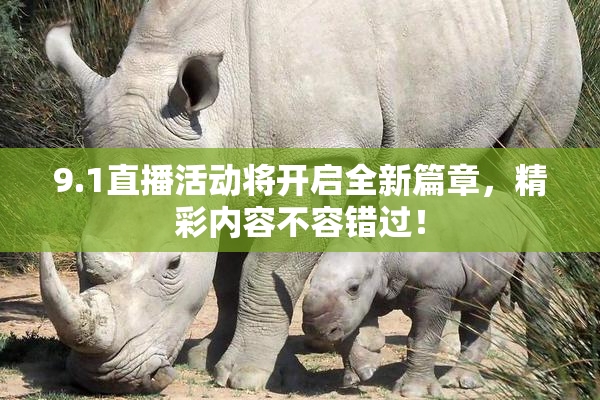 9.1直播活动将开启全新篇章，精彩内容不容错过！