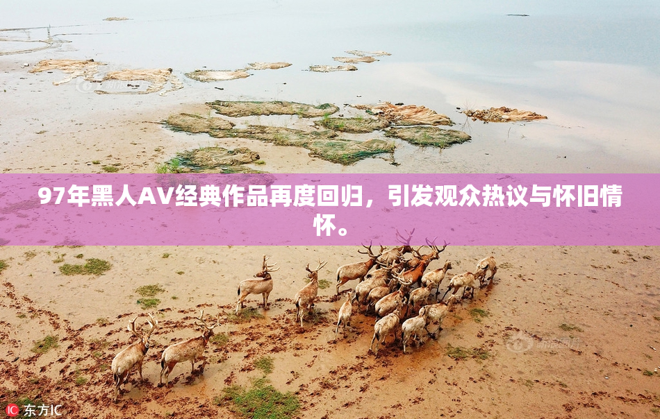 97年黑人AV经典作品再度回归，引发观众热议与怀旧情怀。