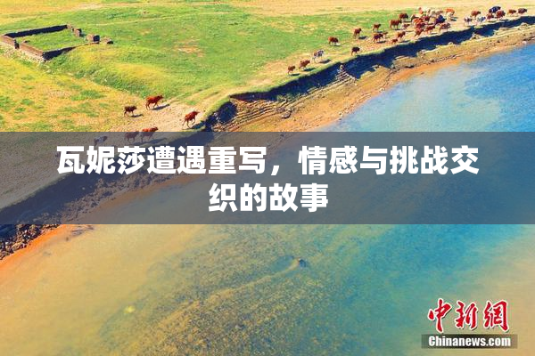 瓦妮莎遭遇重写，情感与挑战交织的故事