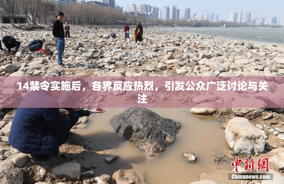 14禁令实施后，各界反应热烈，引发公众广泛讨论与关注