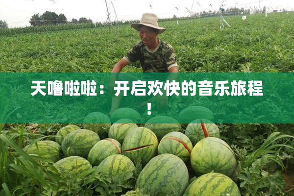 天噜啦啦：开启欢快的音乐旅程！