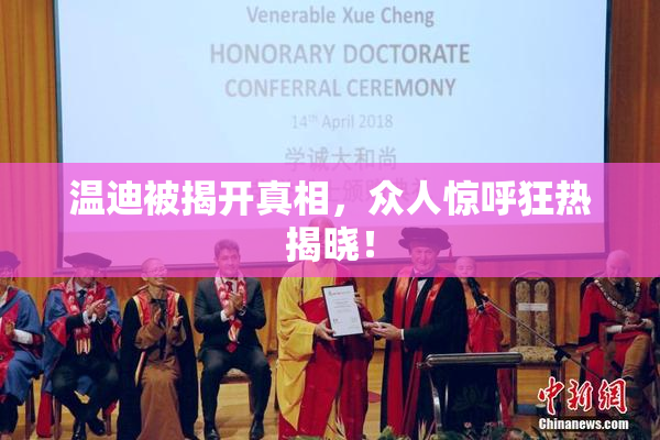 温迪被揭开真相，众人惊呼狂热揭晓！