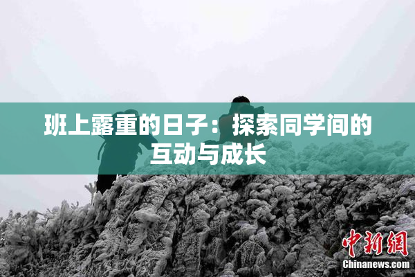 班上露重的日子：探索同学间的互动与成长