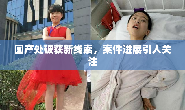 国产处破获新线索，案件进展引人关注