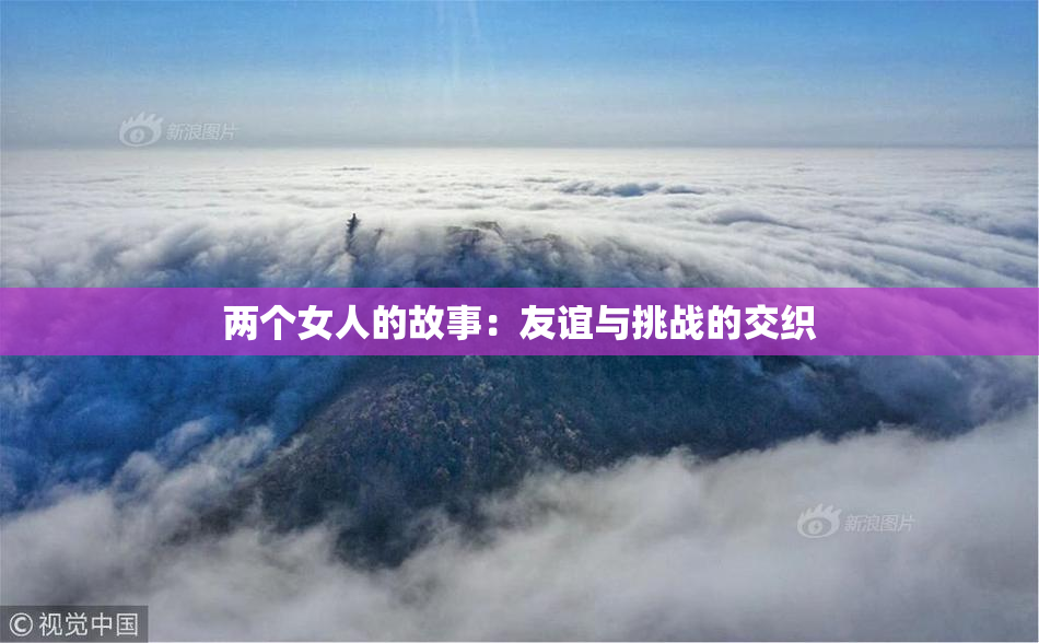 两个女人的故事：友谊与挑战的交织